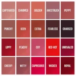 تصویر رنگ های رژلب مایع Maybelline Super Stay Vinyl Ink |مه چهر